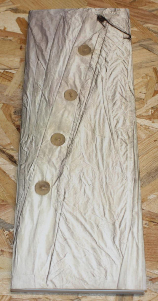 Sylvie Caty - Chronique D'Une Frustrée - Éditions Du Chameau 2016