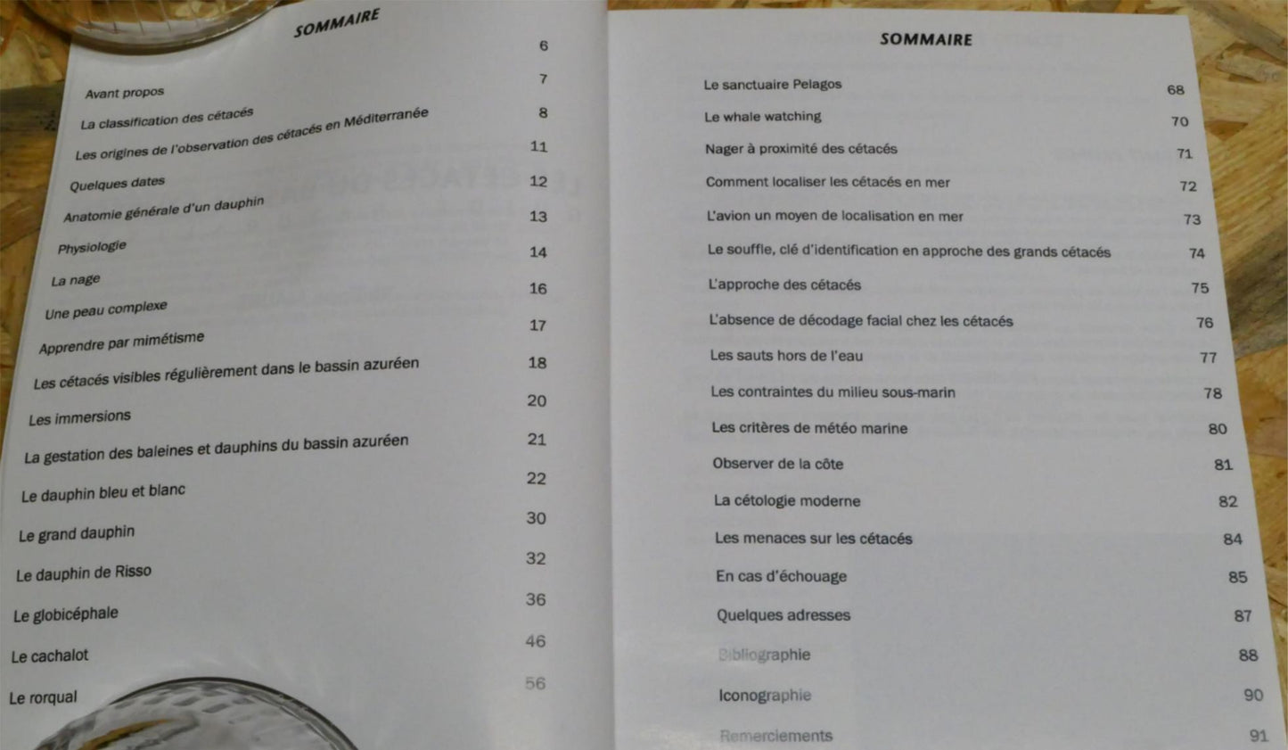 Les Cétacés Du Bassin Azuréen - Guide Naturaliste - Philippe Maurt - 2015