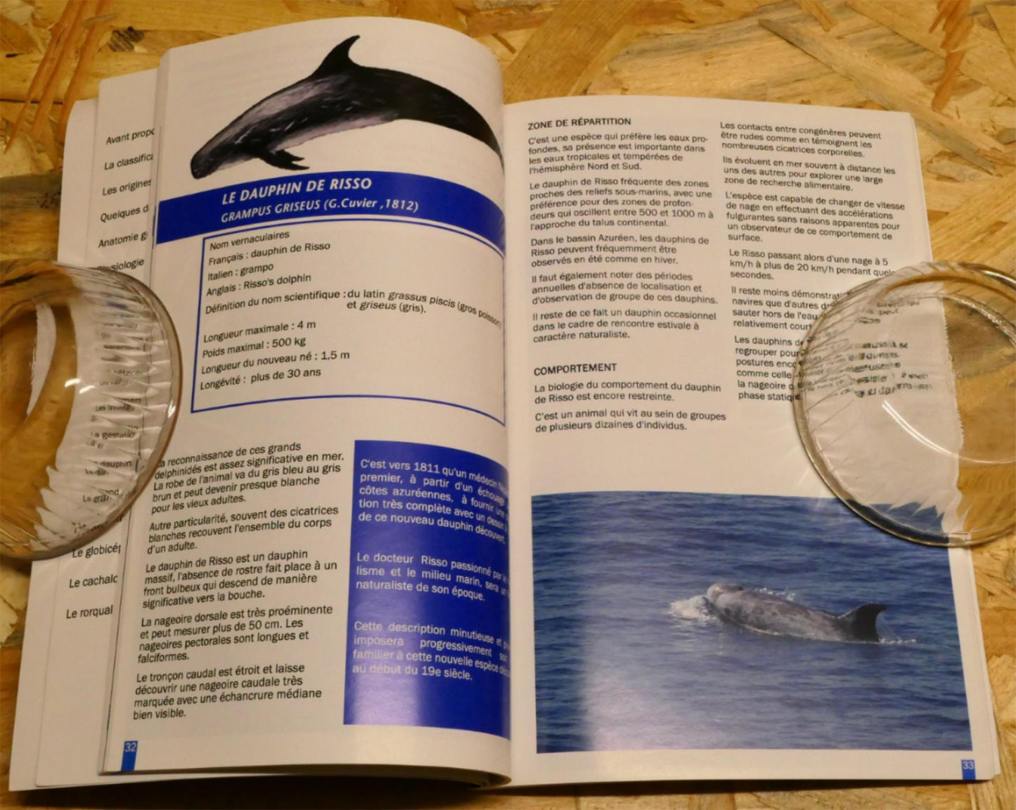 Les Cétacés Du Bassin Azuréen - Guide Naturaliste - Philippe Maurt - 2015