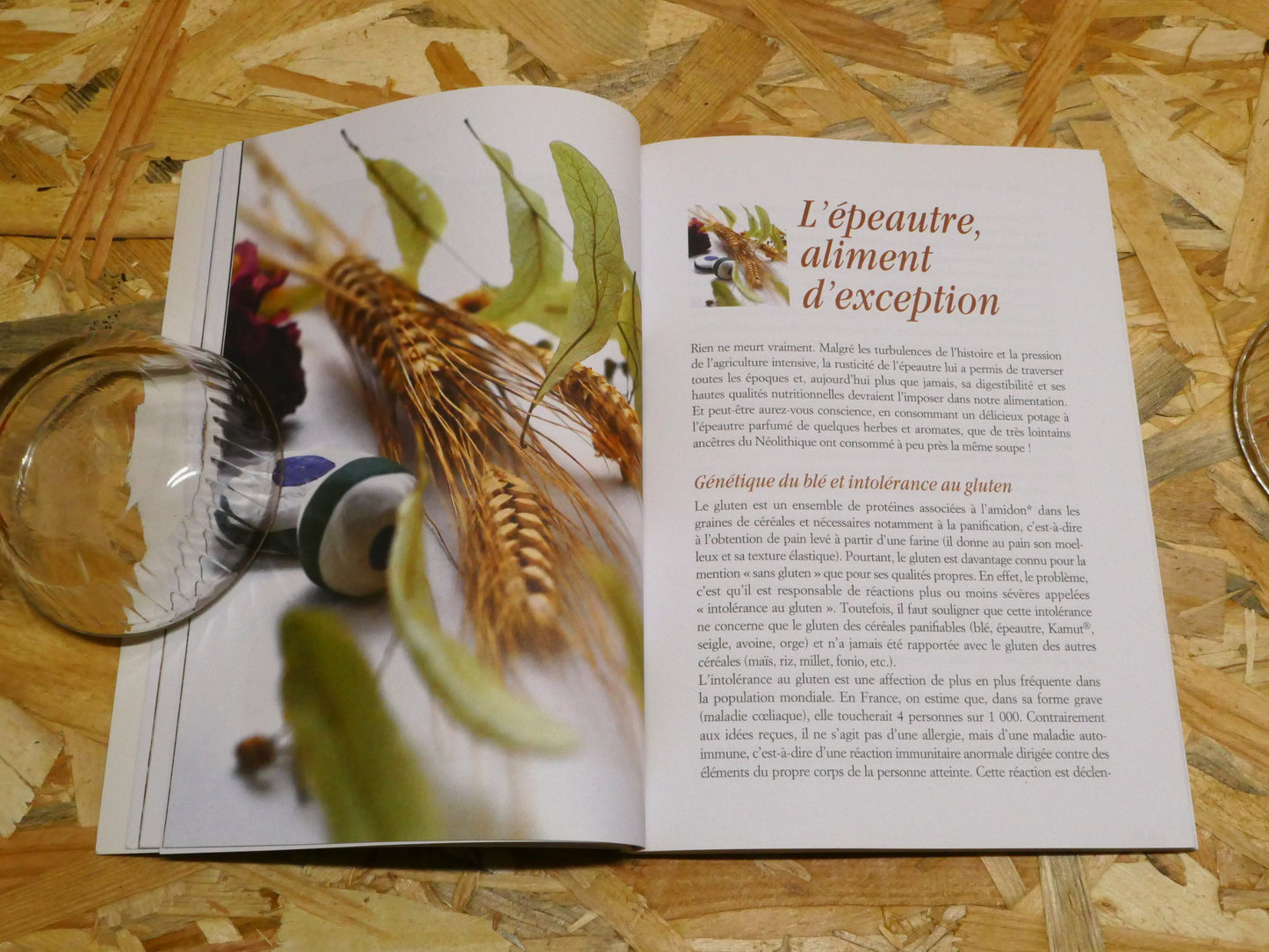 L'Épeautre Source De Vitalité Cures Détoxifiantes Et Recettes Gourmandes