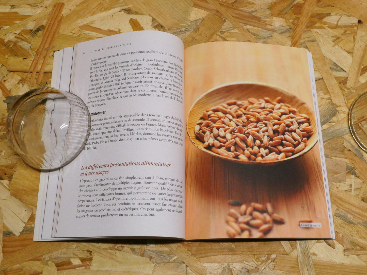 L'Épeautre Source De Vitalité Cures Détoxifiantes Et Recettes Gourmandes