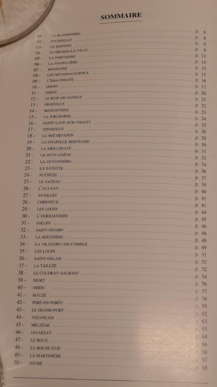 Belles Demeures Des Deux-Sèvres - Lydie Foulon - Histoire Architecture 1996