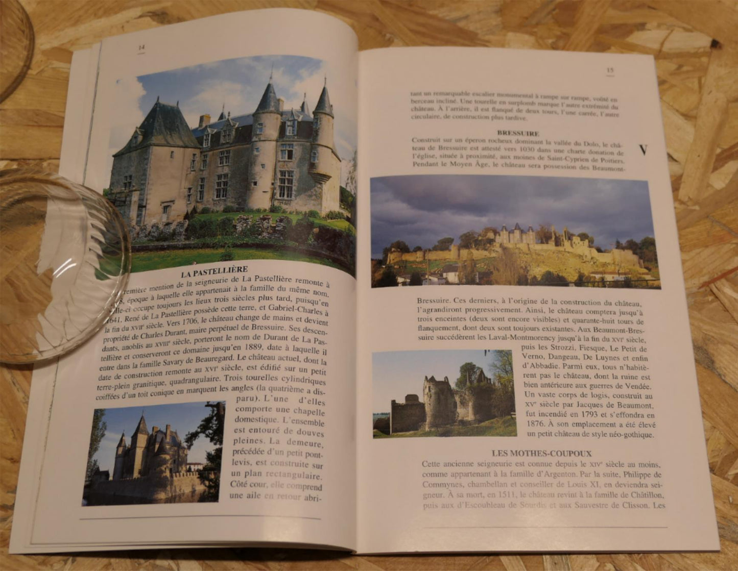 Belles Demeures Des Deux-Sèvres - Lydie Foulon - Histoire Architecture 1996