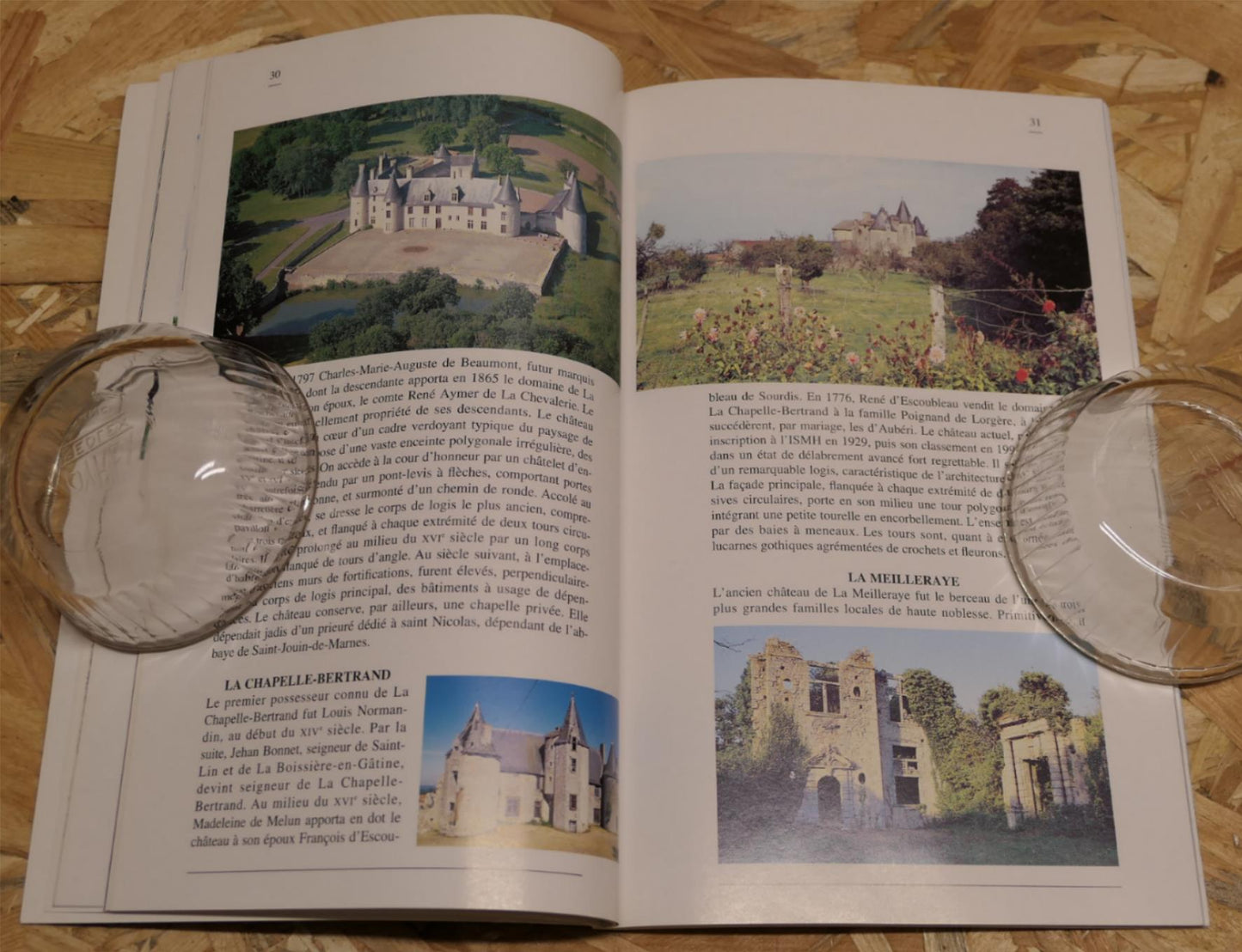 Belles Demeures Des Deux-Sèvres - Lydie Foulon - Histoire Architecture 1996