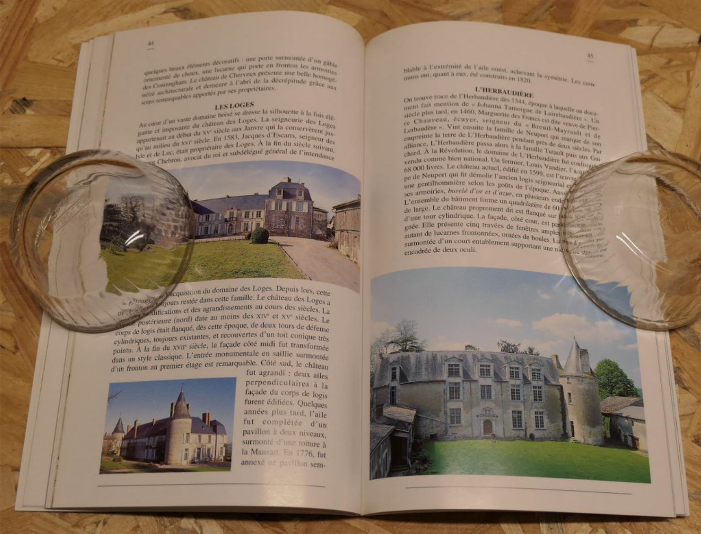 Belles Demeures Des Deux-Sèvres - Lydie Foulon - Histoire Architecture 1996