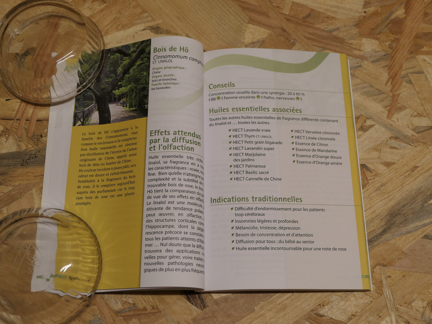 Guide Pratique D'Aromathérapie - La Diffusion - Dominique Baudoux