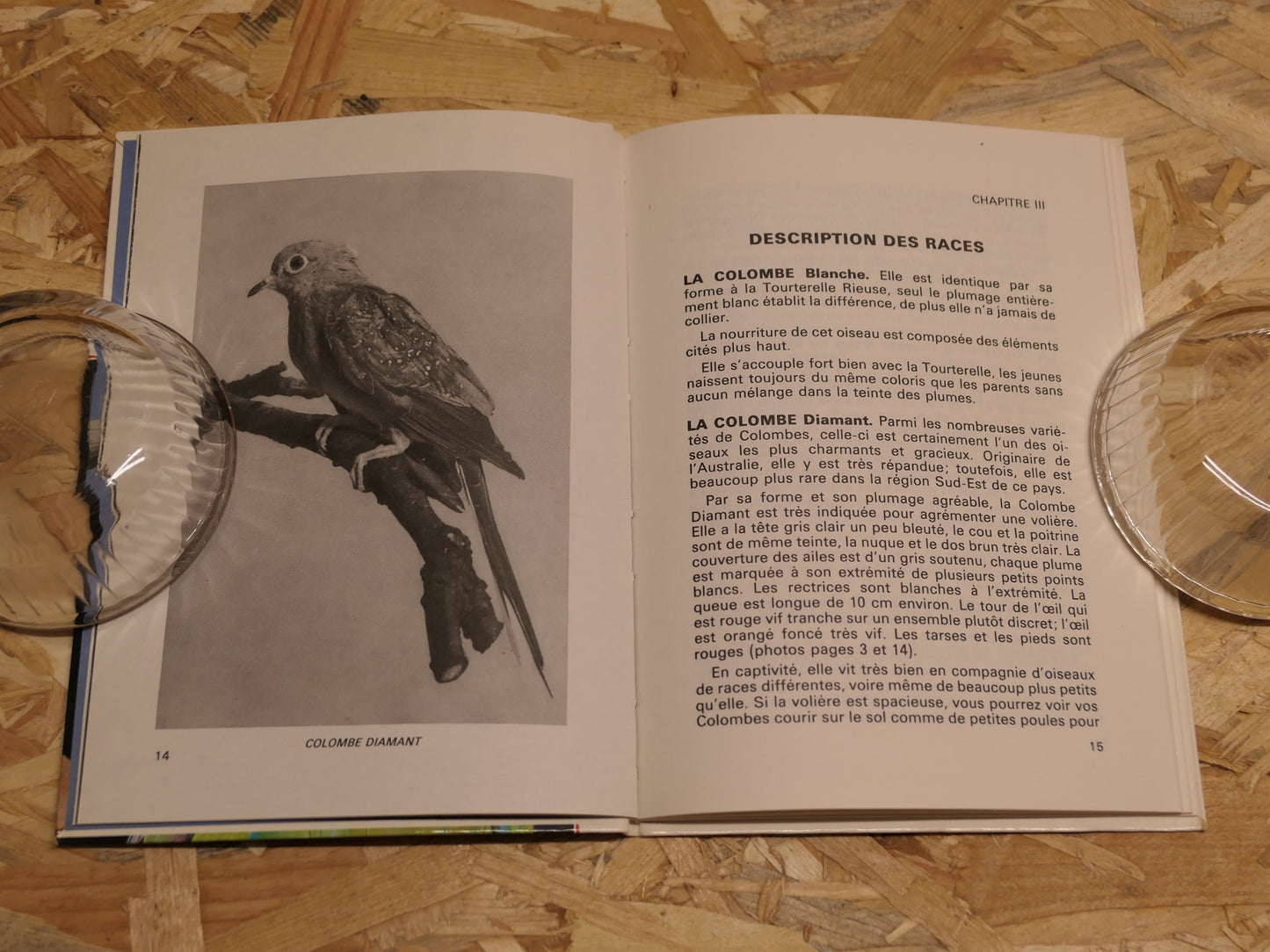 Colombes Tourterelles Perroquets - R.A. Robin - Bornemann 1988