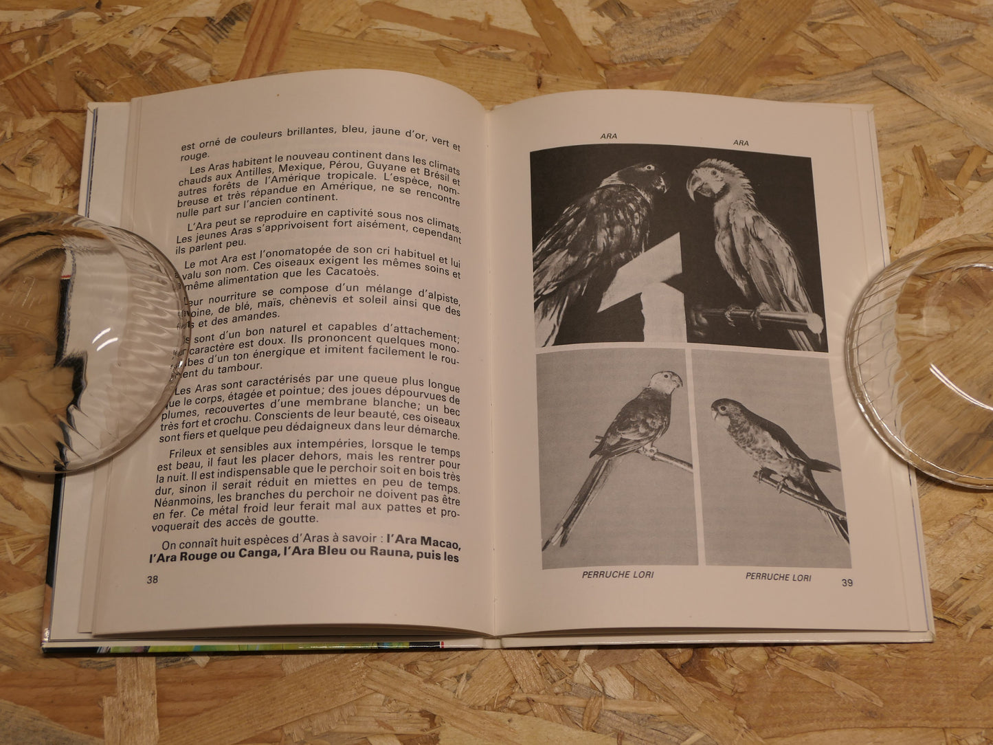 Colombes Tourterelles Perroquets - R.A. Robin - Bornemann 1988