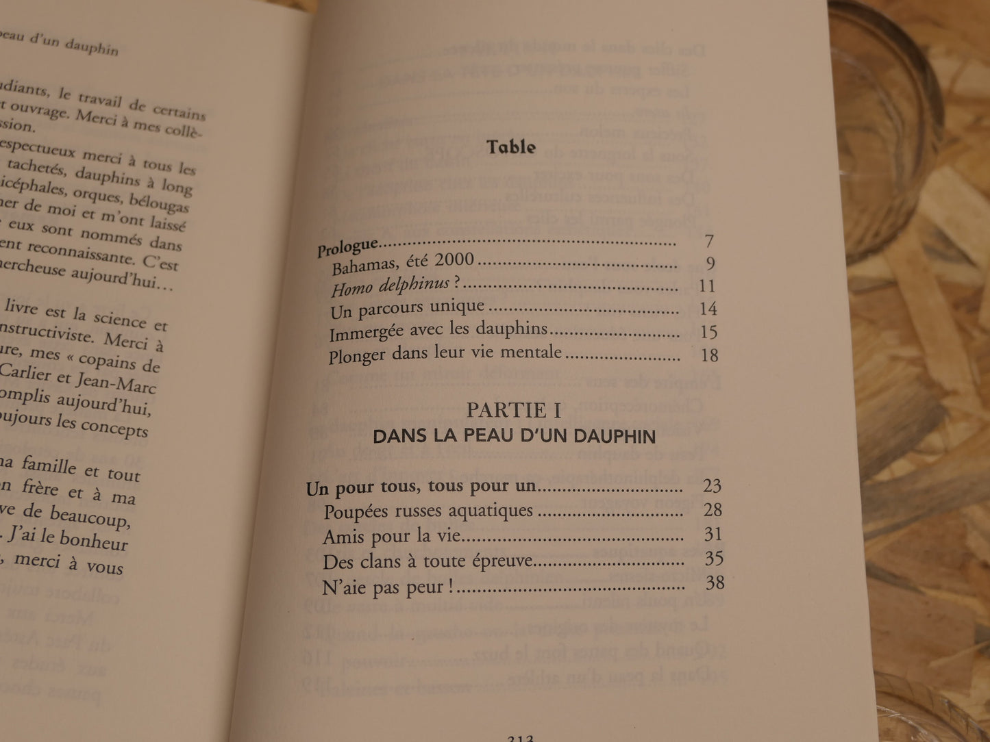 Dans La Peau D'Un Dauphin - Fabienne Delfour - Flammarion 2023