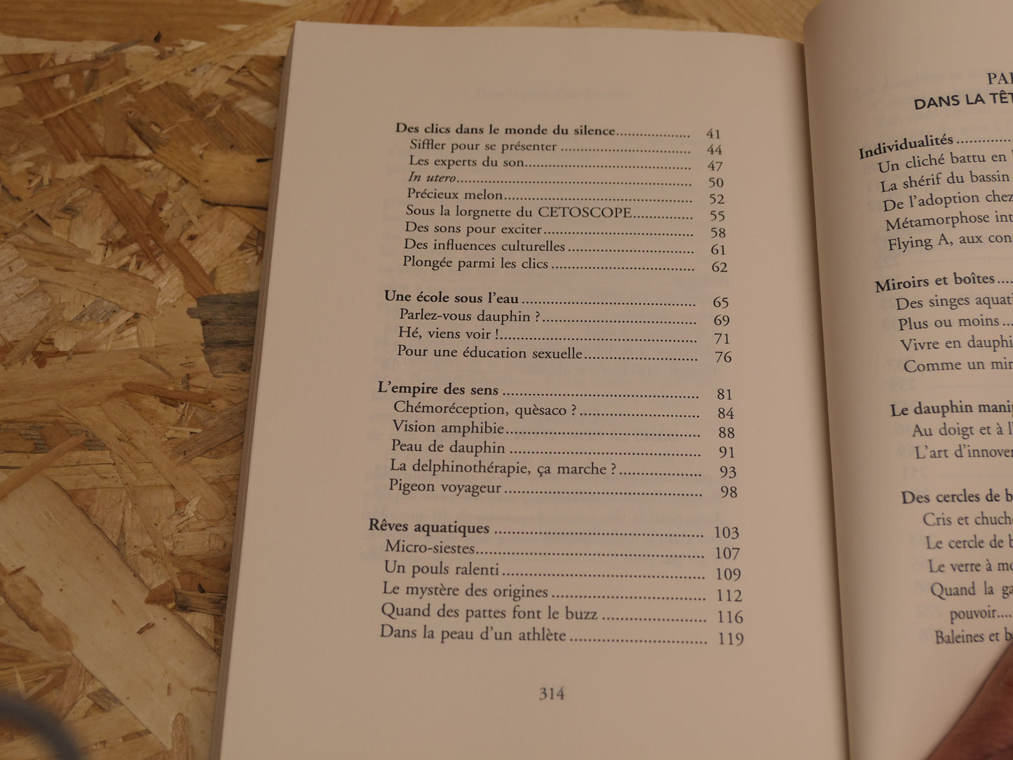 Dans La Peau D'Un Dauphin - Fabienne Delfour - Flammarion 2023
