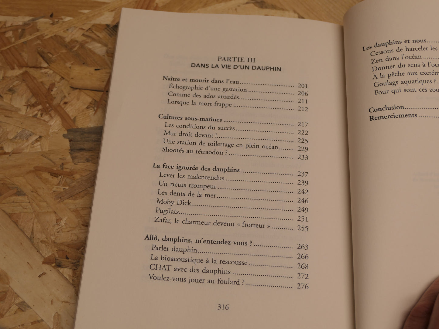 Dans La Peau D'Un Dauphin - Fabienne Delfour - Flammarion 2023