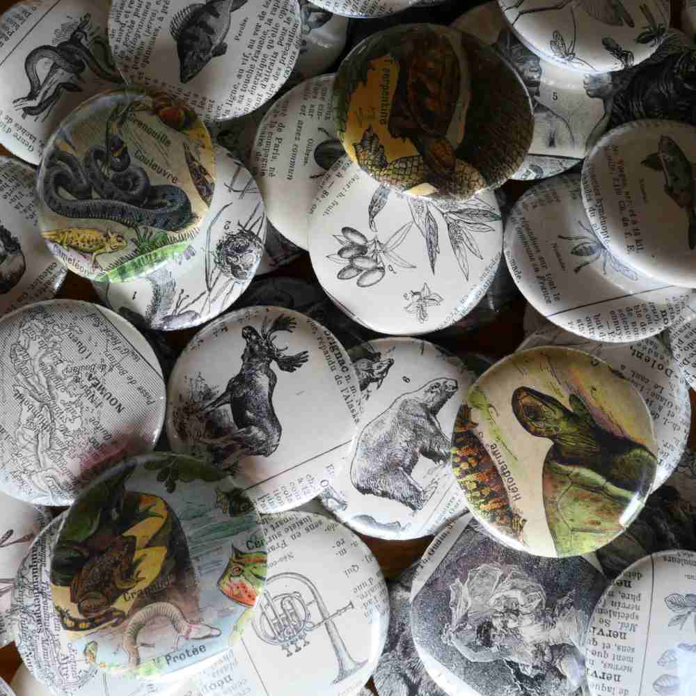 Badges