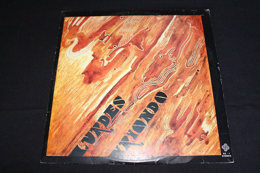 LURDES IRIONDO   LP 33T 12"   AZ-1
