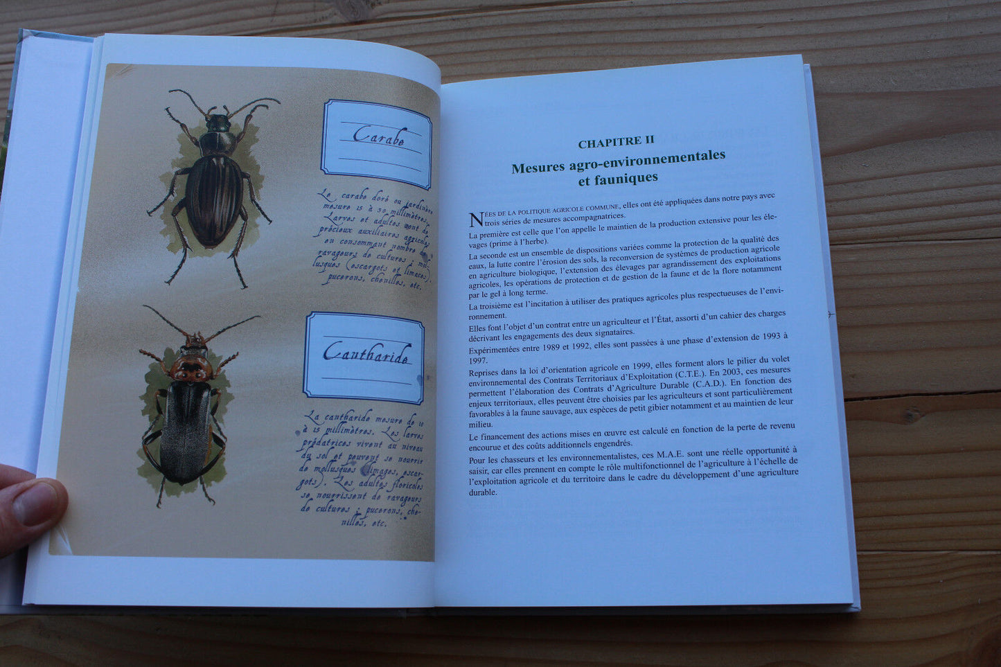 LE PETIT GIBIER   GERFAUT   2006   CHASSE