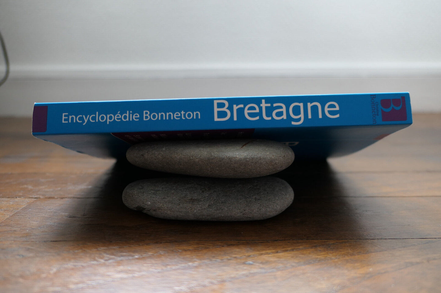 BRETAGNE CHRISTINE BONNETON 2006 HISTOIRE ART TRADITIONS LANGUE ECONOMIE SOCIETE