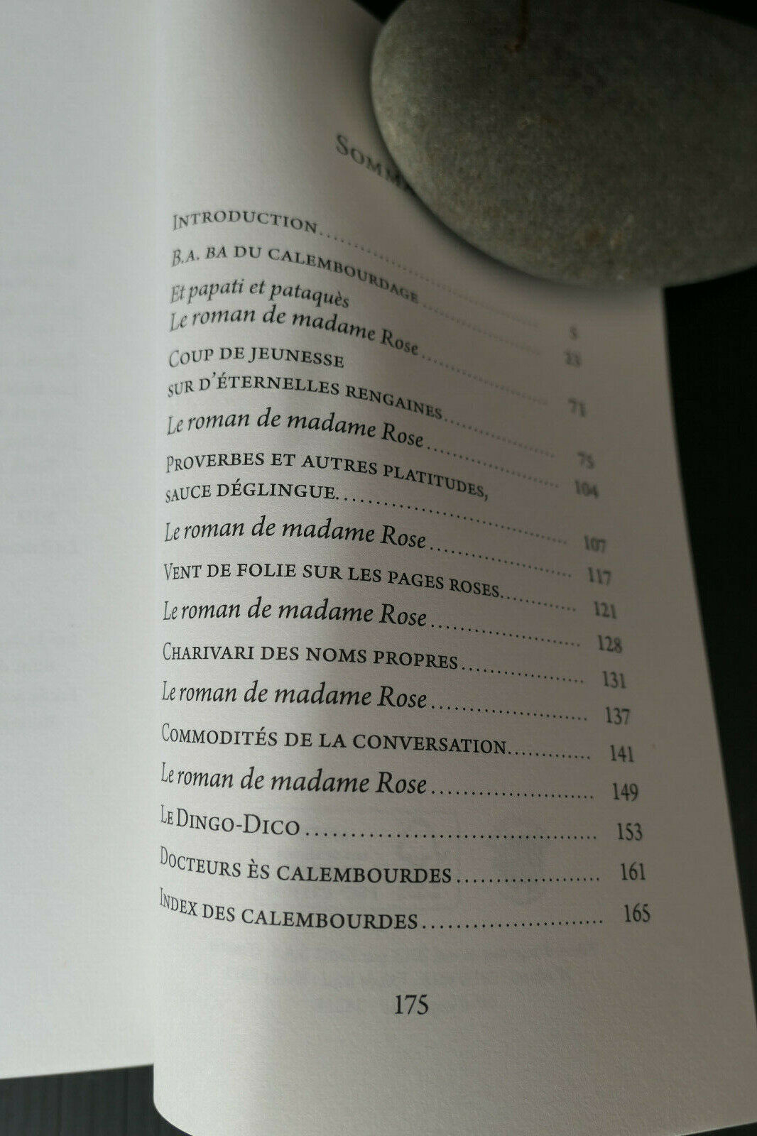 ENCHANTE DE FAIRE VOTRE PLEIN D'ESSENCE / MARIE TREPS / CALEMBOUR