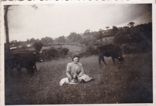 VINTAGE SNAPSHOT PHOTO ANONYME FEMME CAMPAGNE VACHES CHIEN