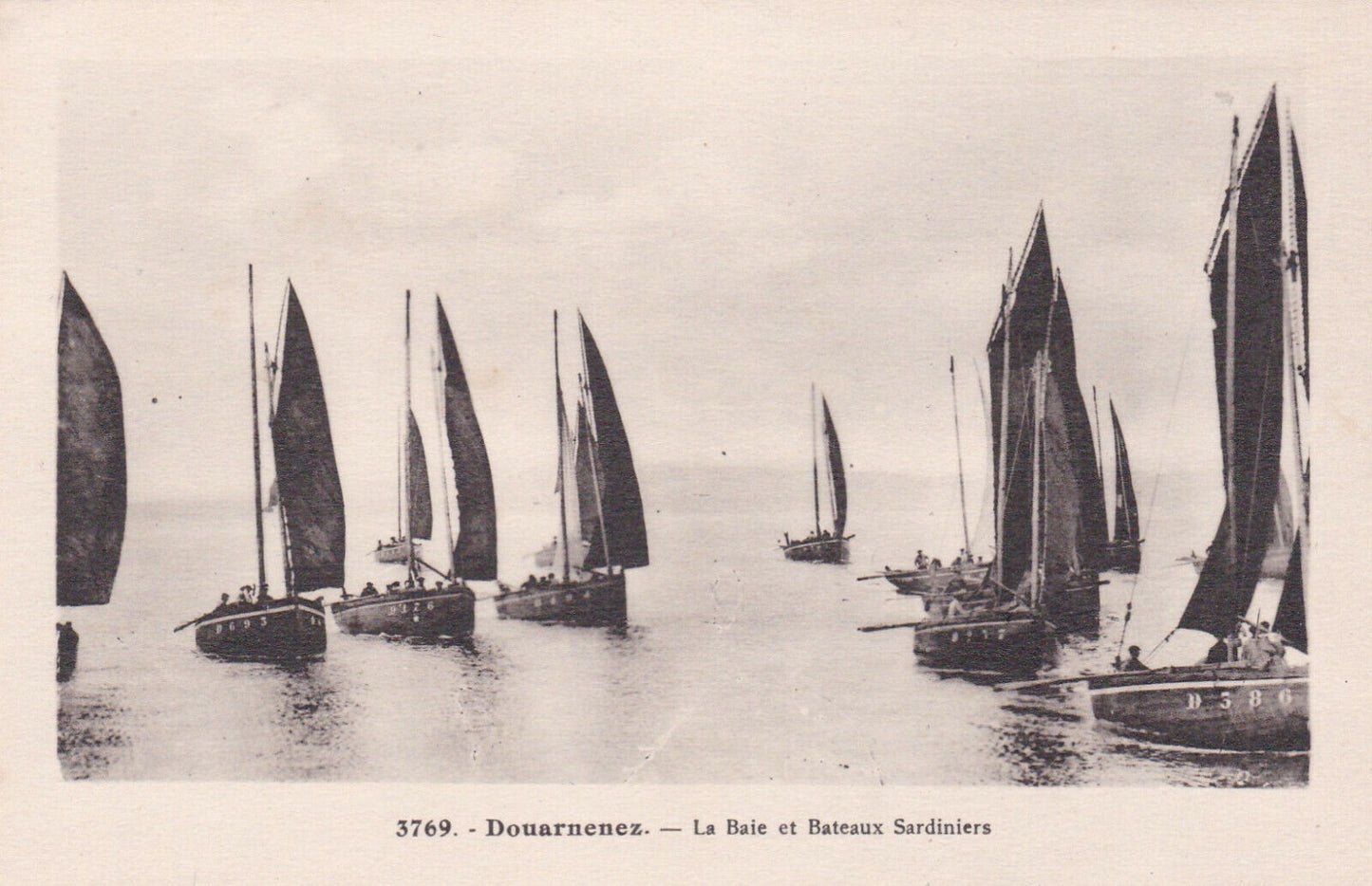 CPA 29 DOUARNENEZ / LA BAIE ET BATEAUX SARDINIERS
