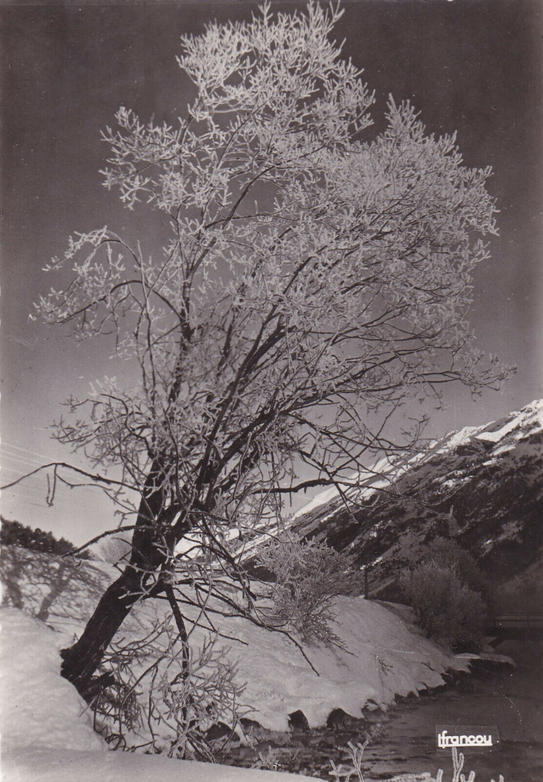 ANCIENNE CARTE POSTALE CPSM MONTAGNE GIVRE DANS LE BRIANCONNAIS