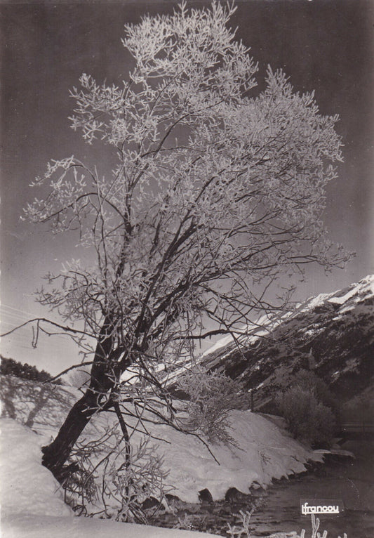 ANCIENNE CARTE POSTALE CPSM MONTAGNE GIVRE DANS LE BRIANCONNAIS