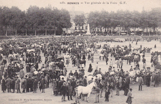 OLD POSTCARD CPA 35 RENNES GENERAL VIEW OF THE FAIR GF 1081
