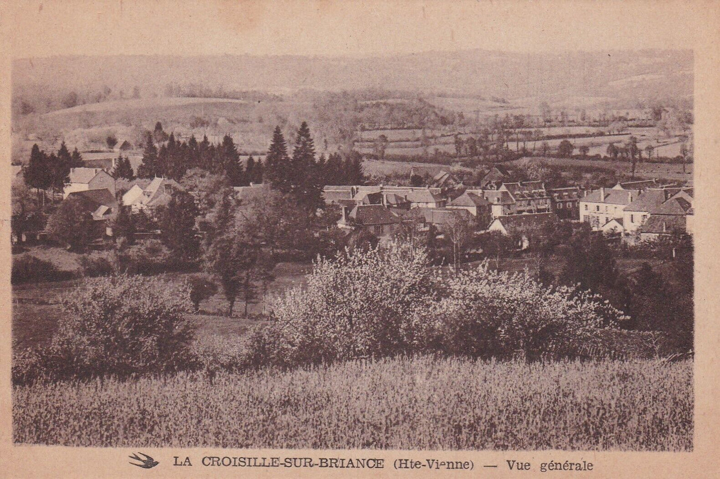 CARTE POSTALE ANCIENNE CPA 87 LA CROISILLE-SUR-BRIANCE VUE GENERALE