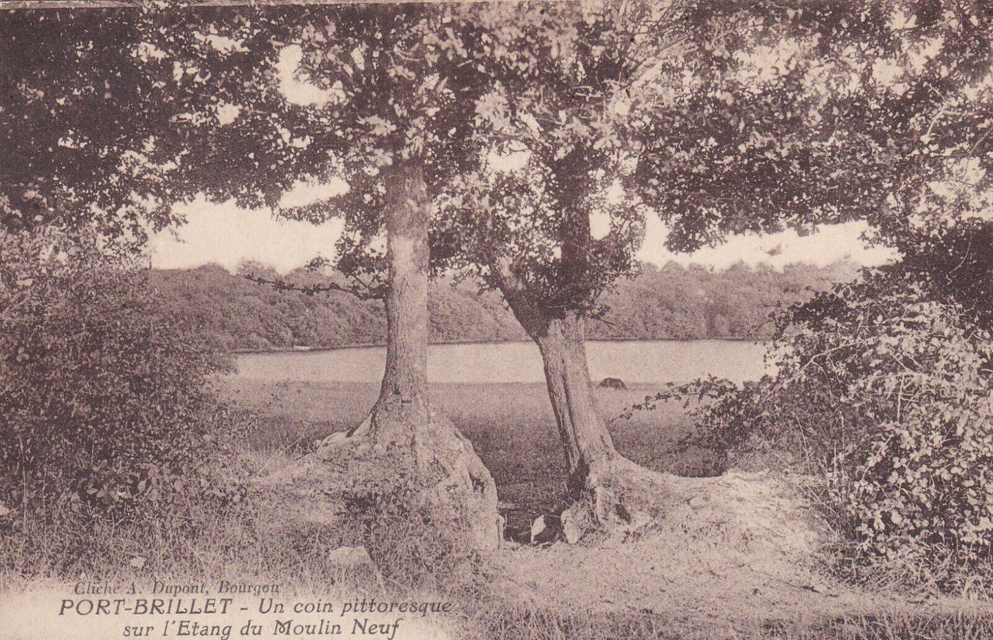 CARTE POSTALE ANCIENNE CPA 53 PORT-BRILLET UN COIN PITTORESQUE SUR L'ETANG...