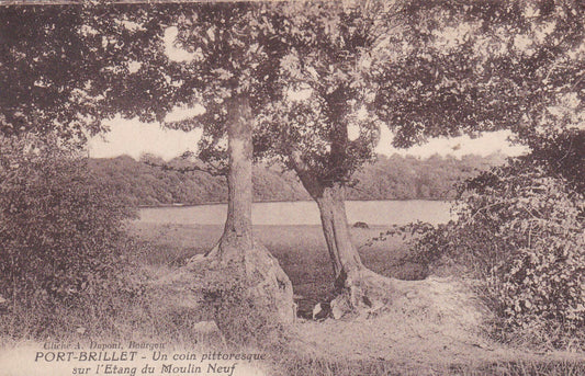 CARTE POSTALE ANCIENNE CPA 53 PORT-BRILLET UN COIN PITTORESQUE SUR L'ETANG...