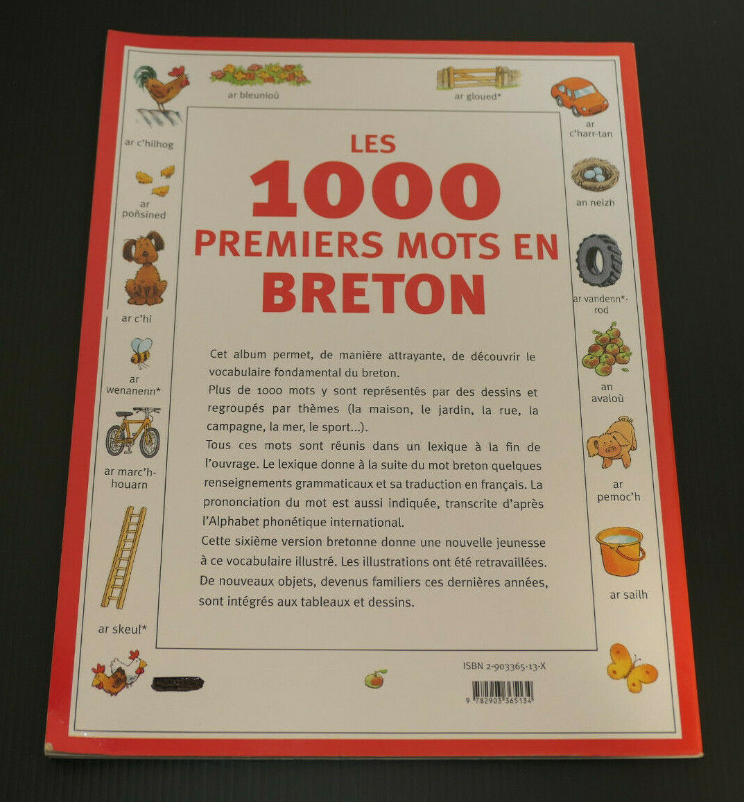 LES 1000 PREMIERS MOTS EN BRETON / BRETAGNE LANGUE BRETONNE
