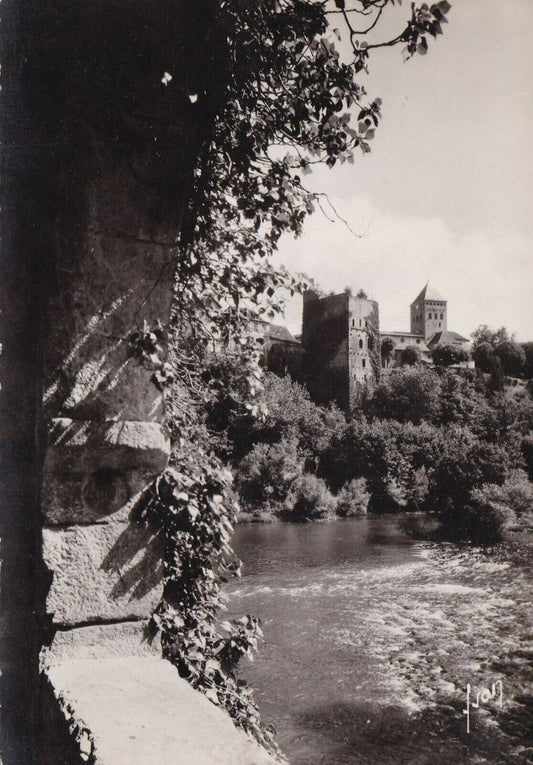 CARTE POSTALE CPSM NOIR & BLANC / SAUVETERRE-DE-BEARN LE CHATEAU ET L'EGLISE