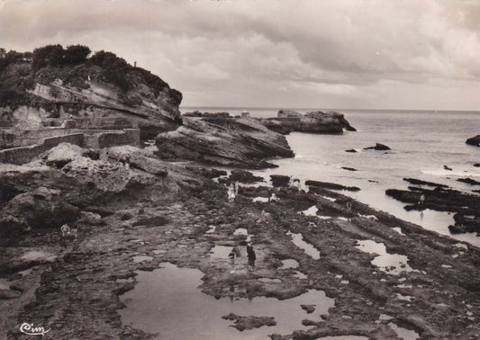 CPSM BLACK &amp; WHITE POSTCARD BIARRITZ THE FISHERMEN'S PORT AT LOW TIDE 