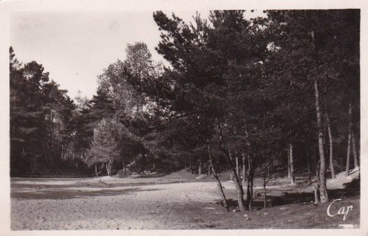 CARTE POSTALE ANCIENNE CPA NOIR ET BLANC / NEMOURS CLAIRIERE A LA SABLIERE