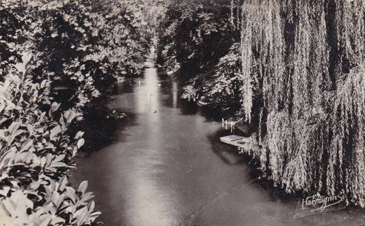 CARTE POSTALE CPSM NOIR ET BLANC / CHALONS-SUR-MARNE LE JARD UN SITE ENCHANTEUR