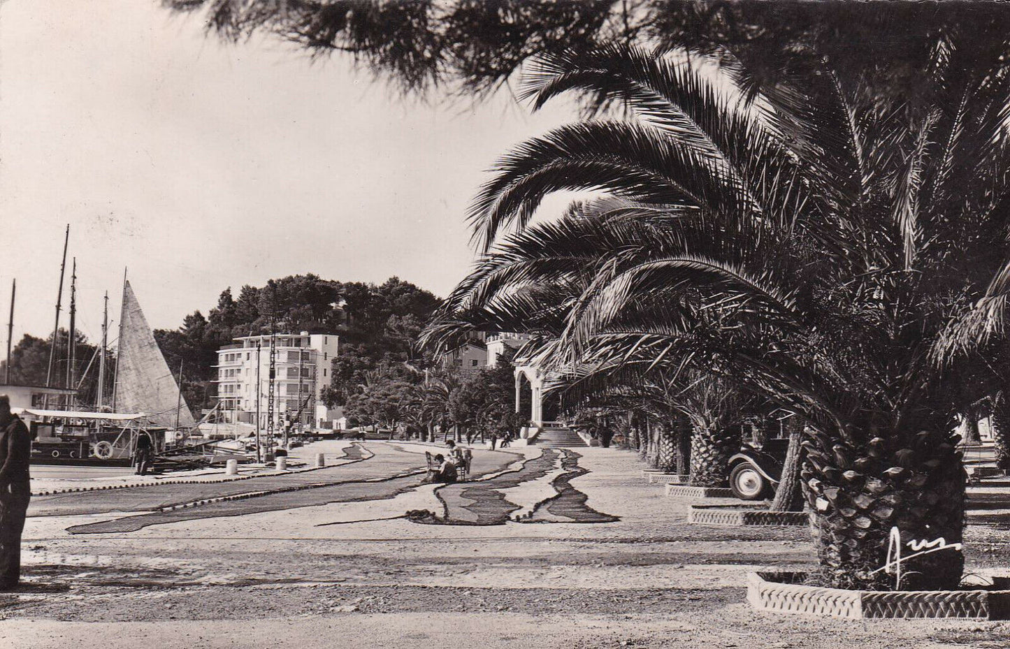CPSM BLACK AND WHITE POSTCARD / BANDOL ALLEE ALFRED VIVIER (1953) 
