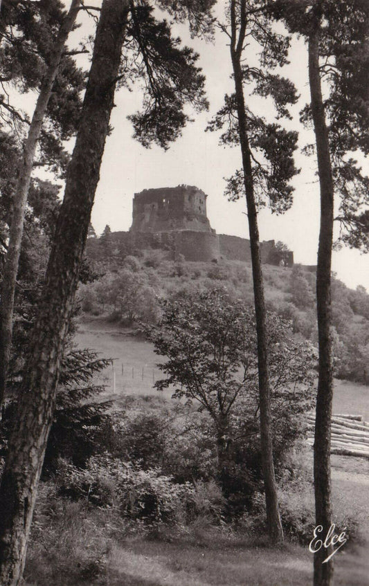CPSM BLACK AND WHITE POSTCARD / PICTURESQUE AUVERGNE MUROL LE VIEUX CHATEAU 