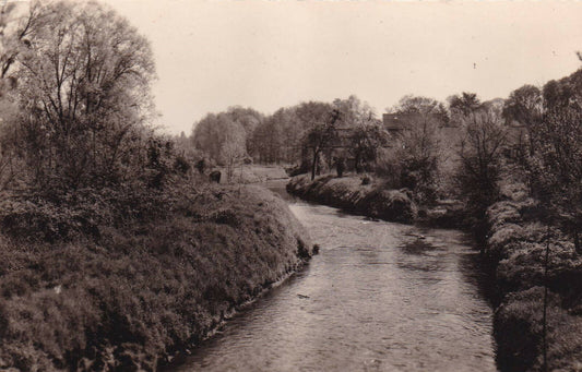 CPSM BLACK AND WHITE POSTCARD / EPINAY-SUR-ORGE BANKS OF THE ORGE 