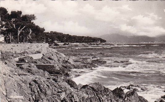 CPSM BLACK AND WHITE POSTCARD / SAINT-AYGULF VAR SEASIDE (1959) 