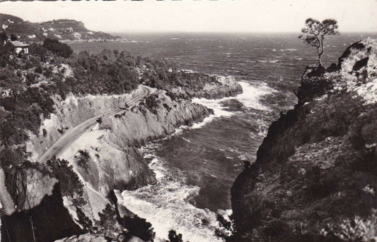 CPSM BLACK AND WHITE POSTCARD / CLIFFS OF THE CORNICHE D'OR ANTHEOR (1960) 
