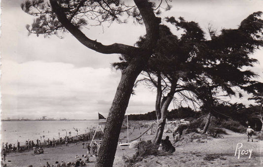 CPSM BLACK AND WHITE POSTCARD / SAINT-BREVIN-LES-PINS THE BEACH AND THE DUNES 