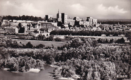 CPSM BLACK AND WHITE POSTCARD / AVIGNON GENERAL VIEW RHONE PALACE OF THE POPES 