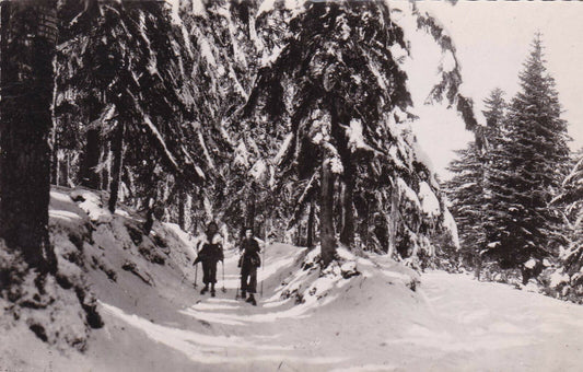 CARTE POSTALE CPSM NOIR ET BLANC / LE MONT PILAT LOIRE ROUTE DU BESSAT (1960)