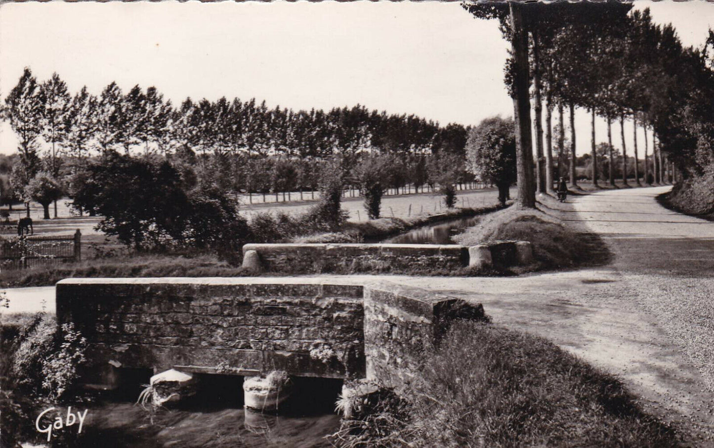 CARTE POSTALE CPSM NOIR ET BLANC / MAMERS SARTHE LE PONT SUR LA DIVES (1955)