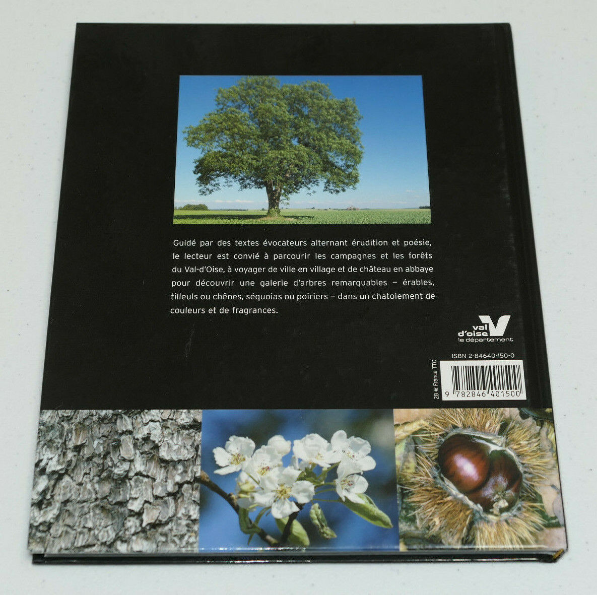 LES ARBRES REMARQUABLES DU VAL D'OISE / DAKOTA EDITIONS 2005