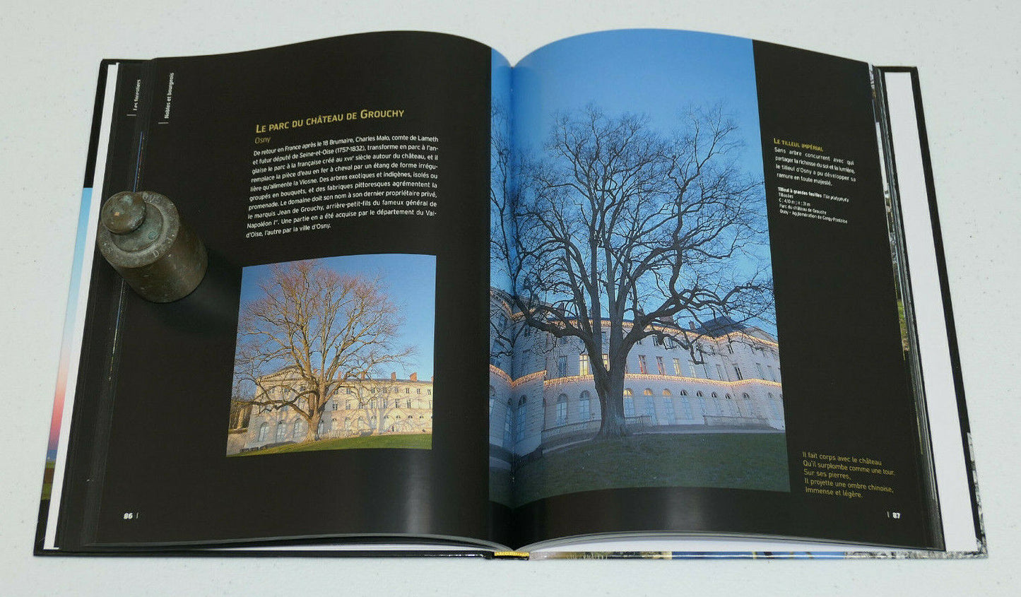 LES ARBRES REMARQUABLES DU VAL D'OISE / DAKOTA EDITIONS 2005