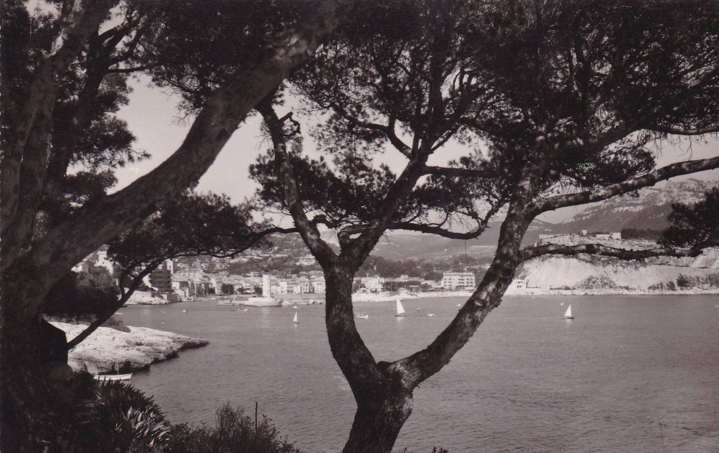 CARTE POSTALE CPSM NOIR & BLANC / CASSIS VUE DES ROCHES BLANCHES