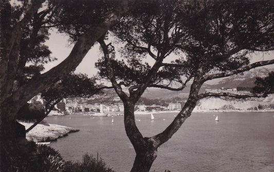 CARTE POSTALE CPSM NOIR & BLANC / CASSIS VUE DES ROCHES BLANCHES