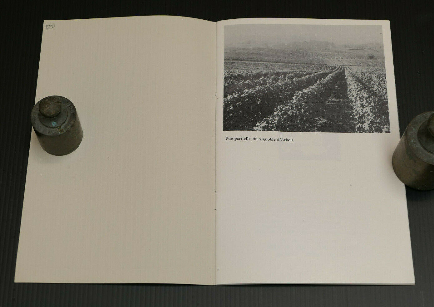 LE VIN D'ARBOIS / COMMANDANT G. GRAND / 1980