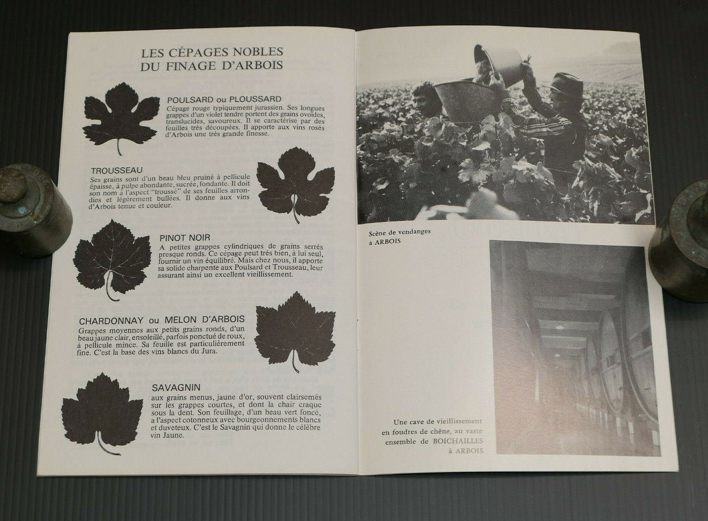 LE VIN D'ARBOIS / COMMANDANT G. GRAND / 1980