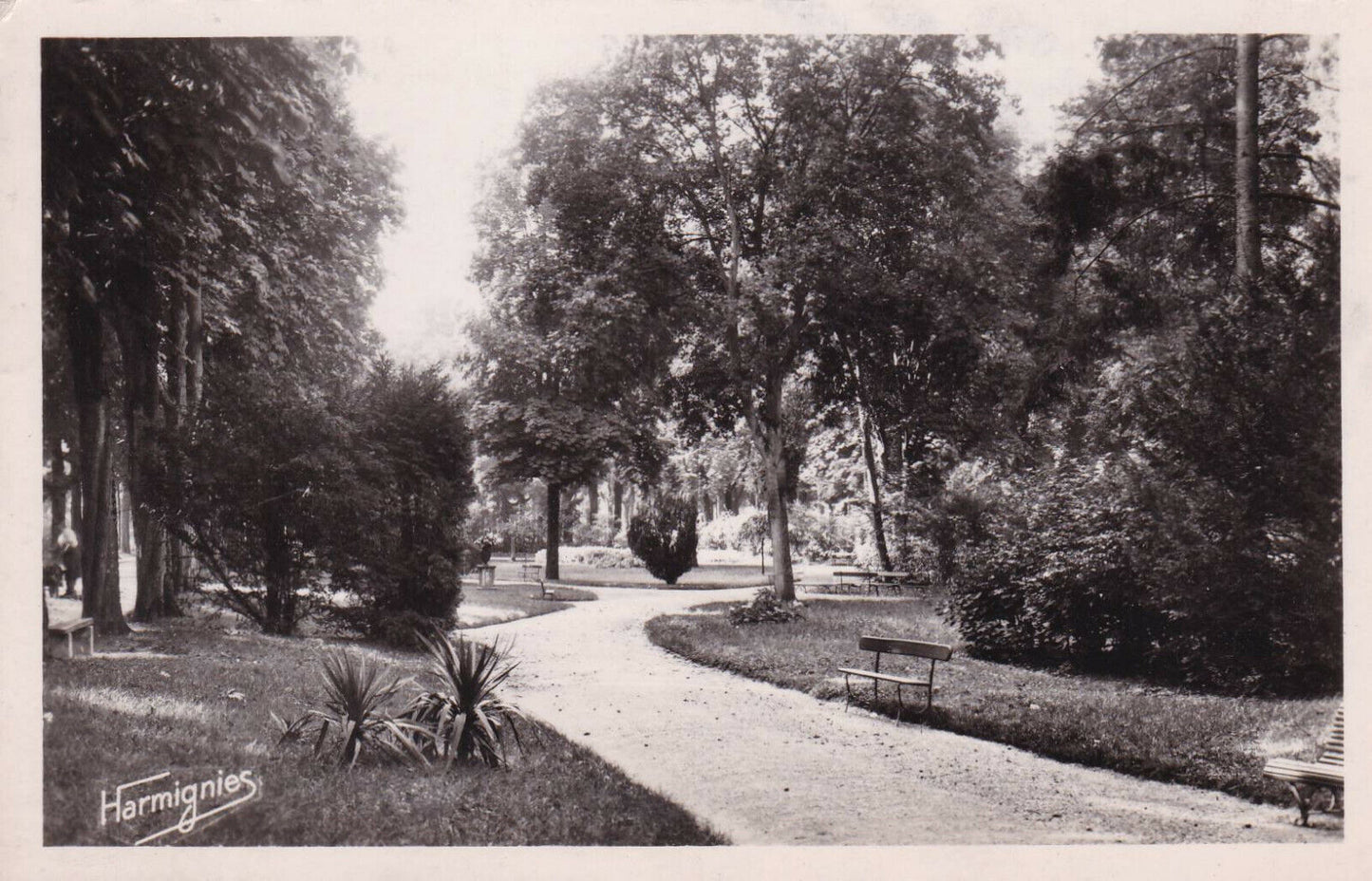 CPSM BLACK &amp; WHITE POSTCARD / CHALONS-SUR-MARNE A GARDEN WALK 
