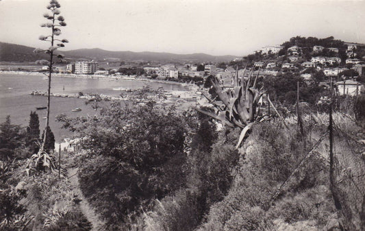 CARTE POSTALE CPSM NOIR & BLANC / LE LAVANDOU VUE GENERALE CORNICHE DES MAURES